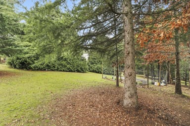 Property 29 Purcell Drive, Merrijig VIC 3723 IMAGE 0