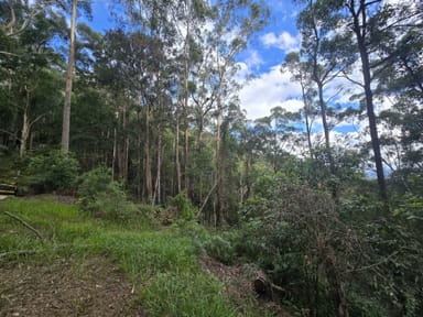Property 302 Kennaicle Creek Rd, Missabotti NSW 2449 IMAGE 0