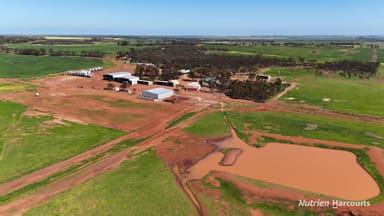 Property 5670 Soldiers Road, Narembeen WA 6369 IMAGE 0