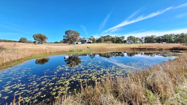 Property 914 Sugarloaf Rd, Sugarloaf QLD 4380 IMAGE 0