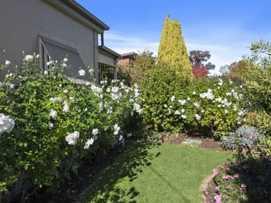 Property 25 Anderson Street, EUROA VIC 3666 IMAGE 0