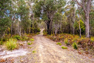 Property Lot 4 White Hill Road, Forcett TAS 7173 IMAGE 0