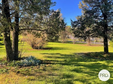 Property Lot 153 Cooper Street, Eugowra NSW 2806 IMAGE 0