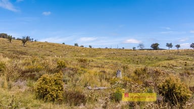 Property 1074 Campbells Creek Road, Mudgee NSW 2850 IMAGE 0