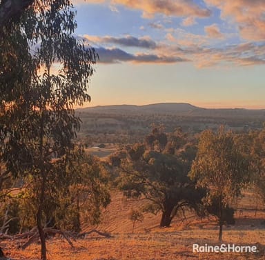 Property 156 Metcalfe-Redesdale Road, Metcalfe VIC 3448 IMAGE 0
