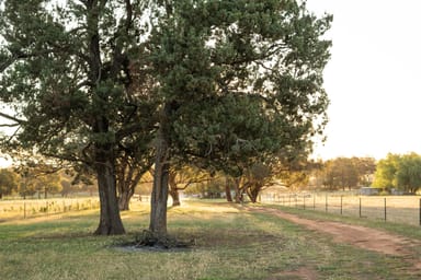 Property "Creekview" Newell Highway, ALECTOWN NSW 2870 IMAGE 0