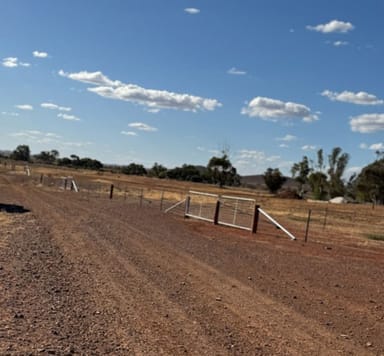 Property 201, West Terrace, Carrieton SA 5432 IMAGE 0