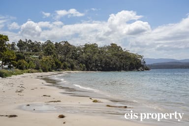 Property 8 Louis Rise, SURVEYORS BAY TAS 7116 IMAGE 0