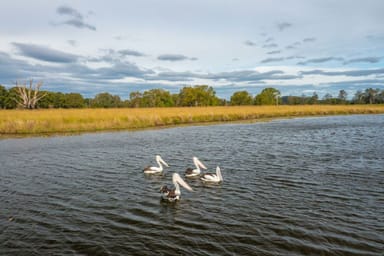 Property LOT 1 HURSLEY ROAD, REDBANK NSW 2446 IMAGE 0