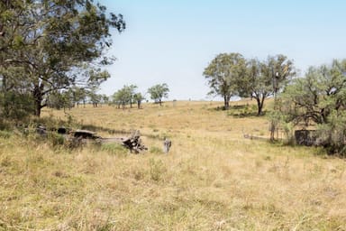 Property Lot 8 Kleins Rd, Meringandan QLD 4352 IMAGE 0