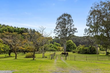 Property 480 Left Bank Road, Mullumbimby Creek NSW 2482 IMAGE 0