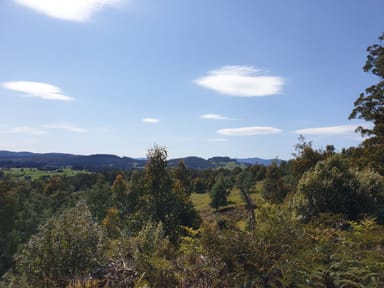 Property Lot 1 Costains Road, GEEVESTON TAS 7116 IMAGE 0