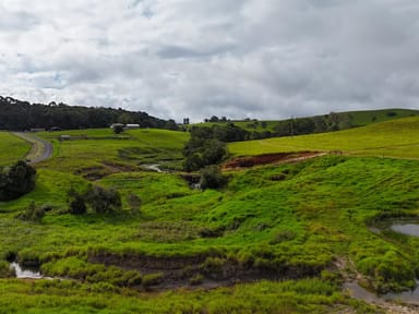 Property 464 Boar Pocket Road, Yungaburra QLD 4884 IMAGE 0