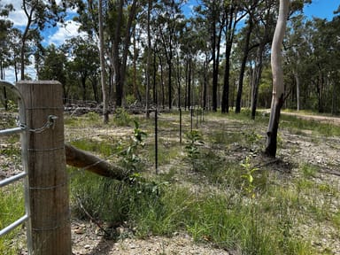 Property 239 Bruxner Road, Drake NSW 2469 IMAGE 0