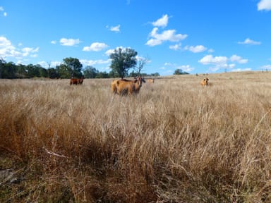 Property NRN BEERON ROAD, Beeron QLD 4626 IMAGE 0
