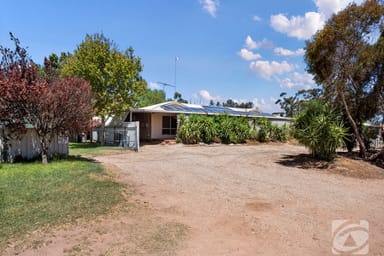 Property 31 Melvin Terrace, Pinery SA 5460 IMAGE 0