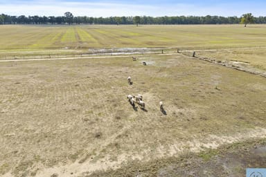 Property 7243 Goulburn Valley Highway, Koonoomoo VIC 3644 IMAGE 0