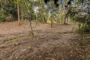 Property 84, Old Tweed Road, WADEVILLE NSW 2474 IMAGE 0