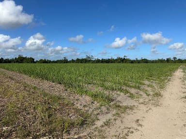 Property Lot 2 Bruce Highway, EL ARISH QLD 4855 IMAGE 0