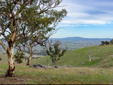 Property 11 Steep Hill Road, ROCKLEIGH SA 5254 IMAGE 0