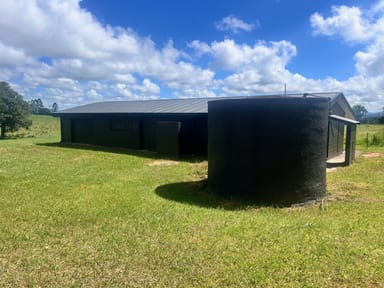 Property 86 Theresa Creek Road, MILLAA MILLAA QLD 4886 IMAGE 0
