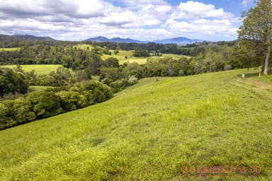 Property 938 North Arm Rd, Argents Hill NSW 2449 IMAGE 0