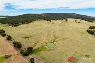 Property Gap Road Gap Road, The Rock NSW 2655 IMAGE 0