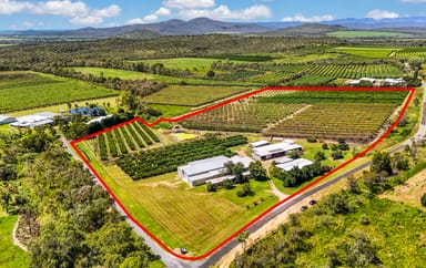 Property 119 McLeod Road, MUTCHILBA QLD 4872 IMAGE 0