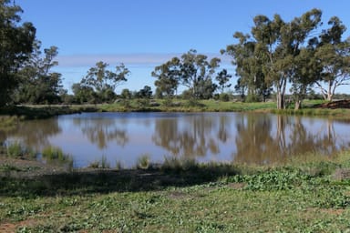 Property 10049 Mitchell Highway West, Coolabah NSW 2831 IMAGE 0