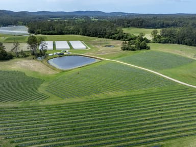 Property 40B Hallgaths Road, Coffs Harbour NSW 2450 IMAGE 0