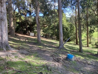Property 250 Woomera Creek Rd, TOORA NORTH VIC 3962 IMAGE 0