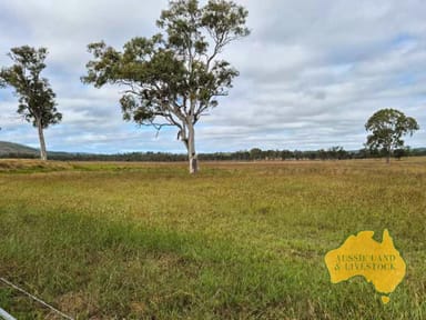 Property 850 Morgans Road, WINDERA QLD 4605 IMAGE 0