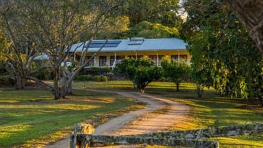 Property 100 Pinnacle Pocket Road, East Barron QLD 4883 IMAGE 0