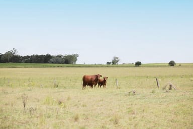 Property 218 Reillys Rd, Cushnie QLD 4311 IMAGE 0