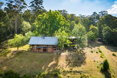 Property 262 Mumbulla Creek Road, Tanja NSW 2550 IMAGE 0