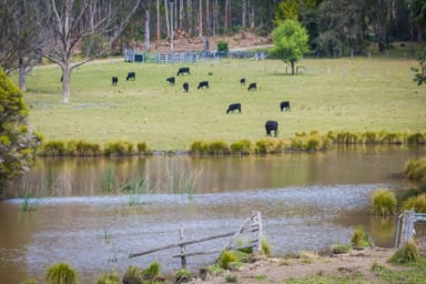 Property 71 COILA CREEK ROAD, COILA NSW 2537 IMAGE 0