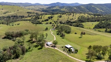 Property 2869 Nowendoc Road, Caffreys Flat NSW 2424 IMAGE 0