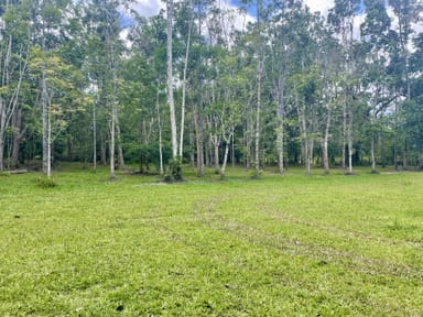 Property 2869 Mossman Daintree Road, Lower Daintree, DAINTREE QLD 4873 IMAGE 0