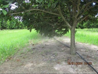 Property Lot 6 Eardleys Road, Welcome Creek QLD 4670 IMAGE 0