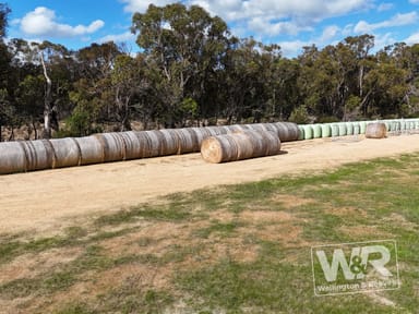Property Lot 3 Albany Highway, Narrikup WA 6326 IMAGE 0
