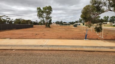 Property Lot 350 John Street, Perenjori WA 6620 IMAGE 0