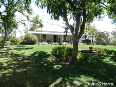 Property 667 Gwydir Highway, MOREE NSW 2400 IMAGE 0