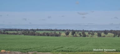 Property "Neymerup" Neymerup Road, KOJONUP WA 6395 IMAGE 0