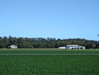 Property 532 Gatton Clifton Road, WINWILL QLD 4347 IMAGE 0
