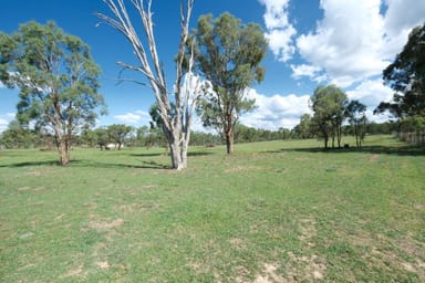 Property 1380 Elsmore Road, Inverell NSW 2360 IMAGE 0