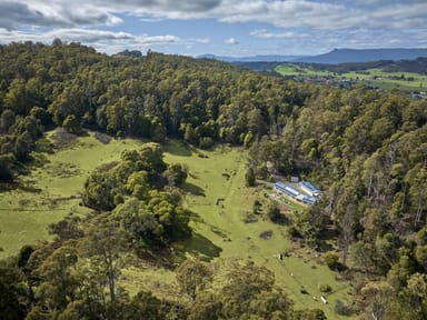 Property 28 Camerons Road, MOLE CREEK TAS 7304 IMAGE 0