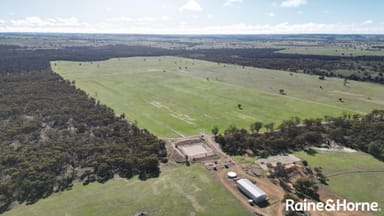 Property 447 Doyle Road, ARTHUR RIVER WA 6315 IMAGE 0