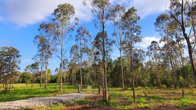 Property Lot 93 Bailey Street, Rappville NSW 2469 IMAGE 0