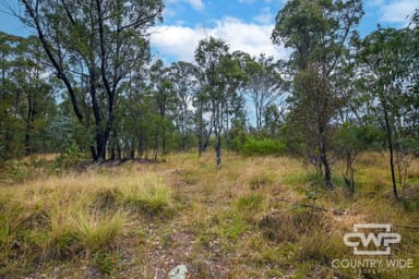 Property 56, Torrington Road, TORRINGTON NSW 2371 IMAGE 0