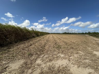 Property Lot 2 Bruce Highway, El Arish QLD 4855 IMAGE 0